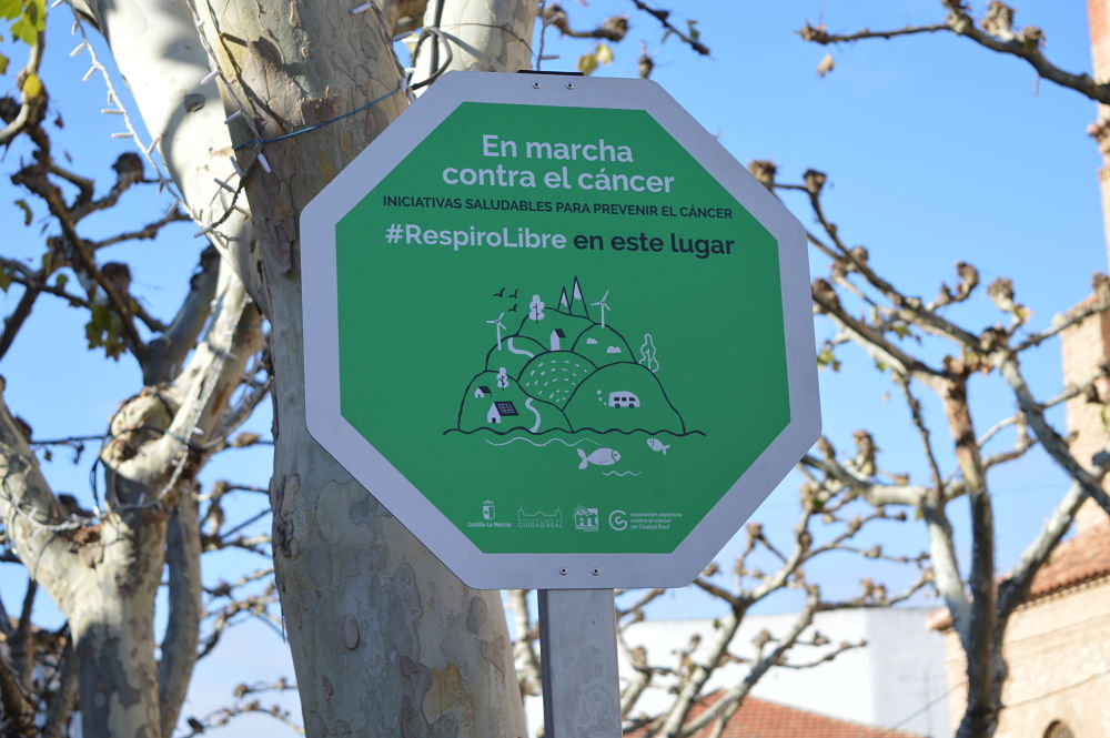 Señal instalada en la Plaza de la Constitución (Foto: Diario de Miguelturra).