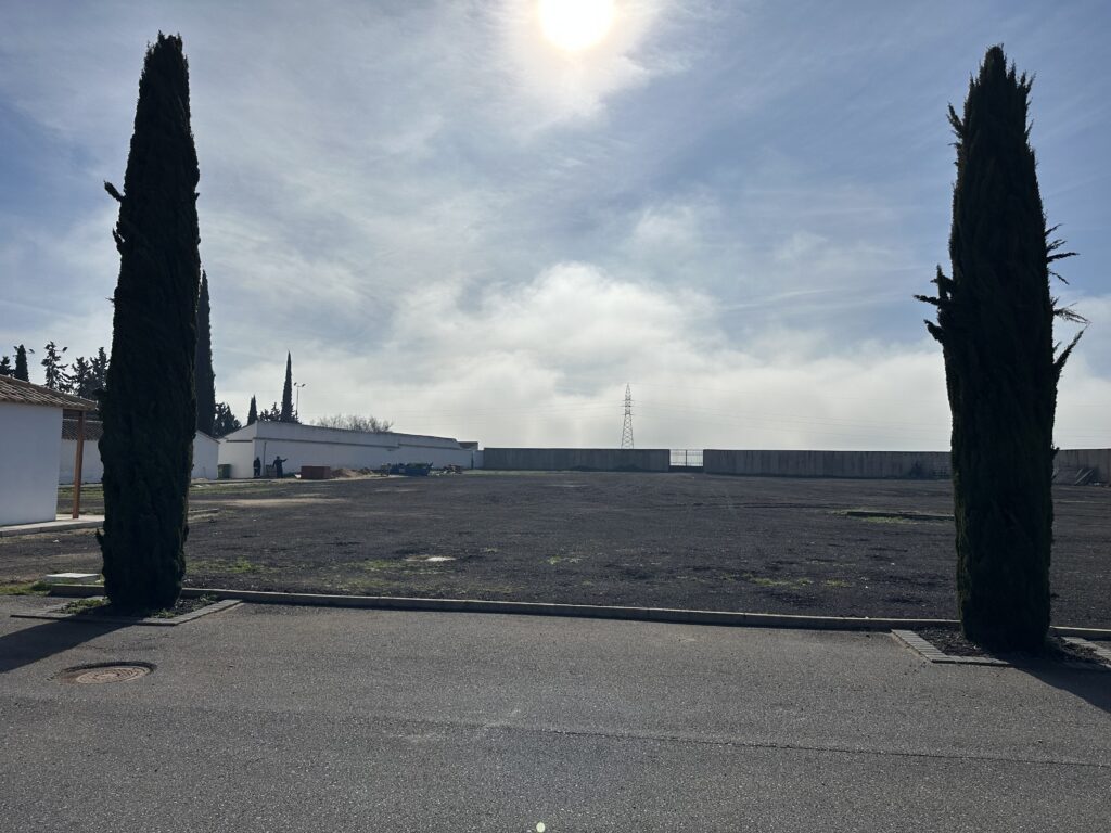 Parte nueva del cementerio municipal de donde se han retirado los escombros (Foto: Diario de Miguelturra).