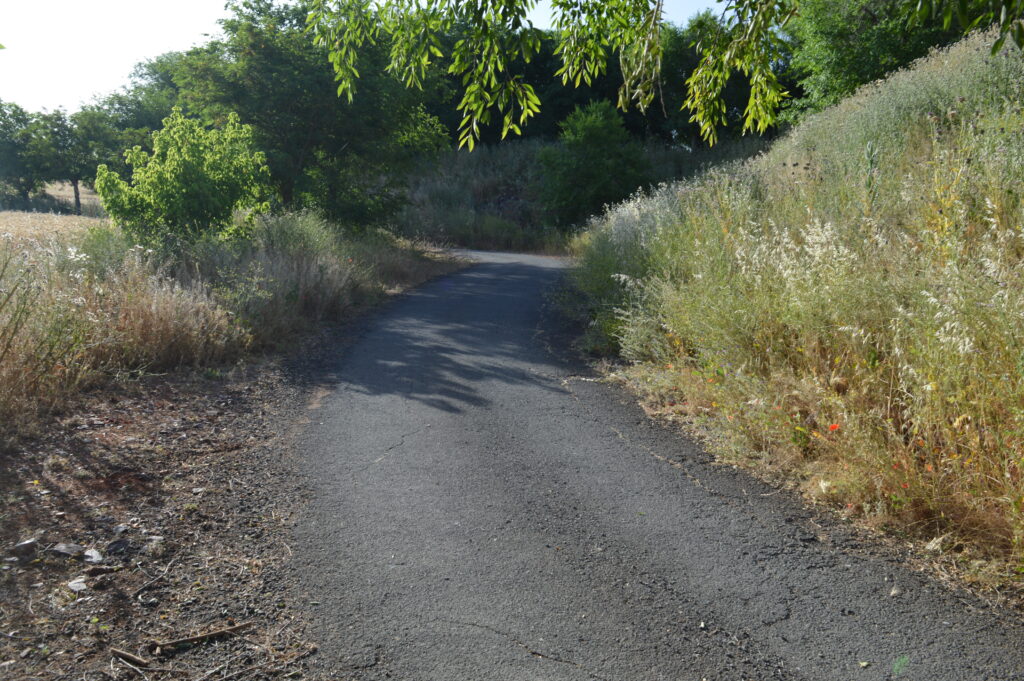 Camino de detrás del depósito de San Isidro (Foto: Diario de Miguelturra).