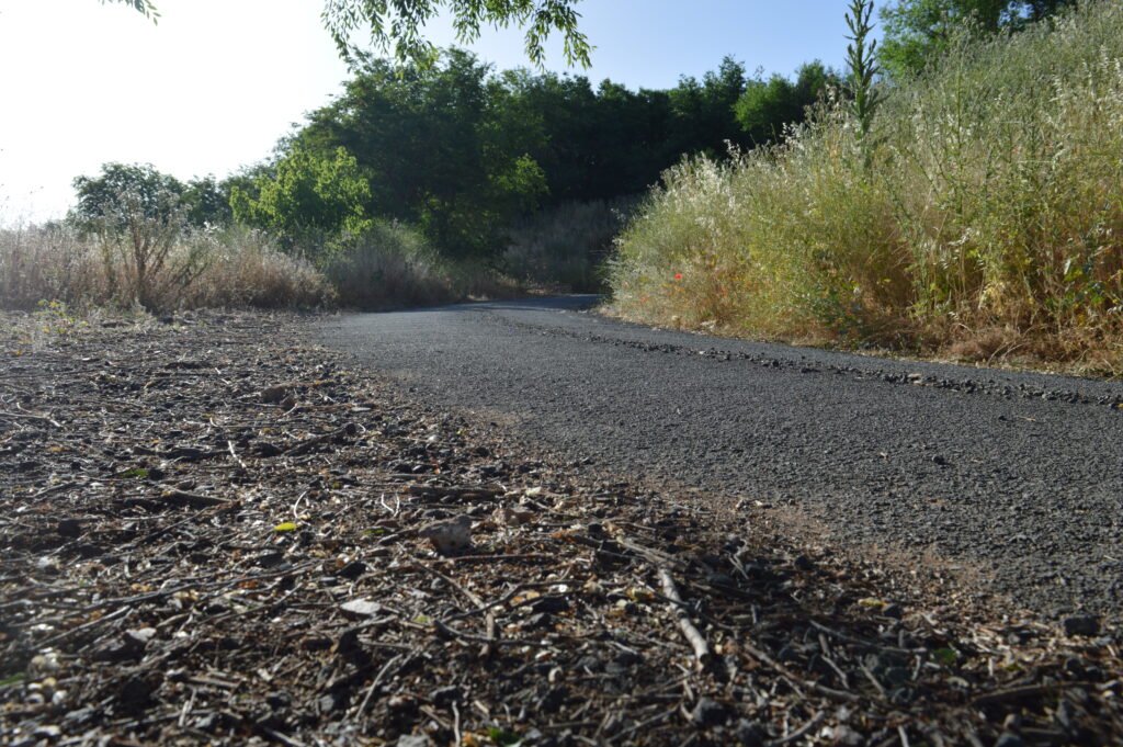 Camino de detrás del depósito de San Isidro (Foto: Diario de Miguelturra).