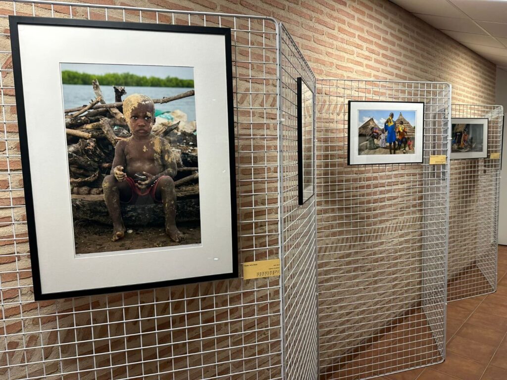 Cuadros de la exposición de Millán Gómez. (Foto: Diario de Miguelturra)