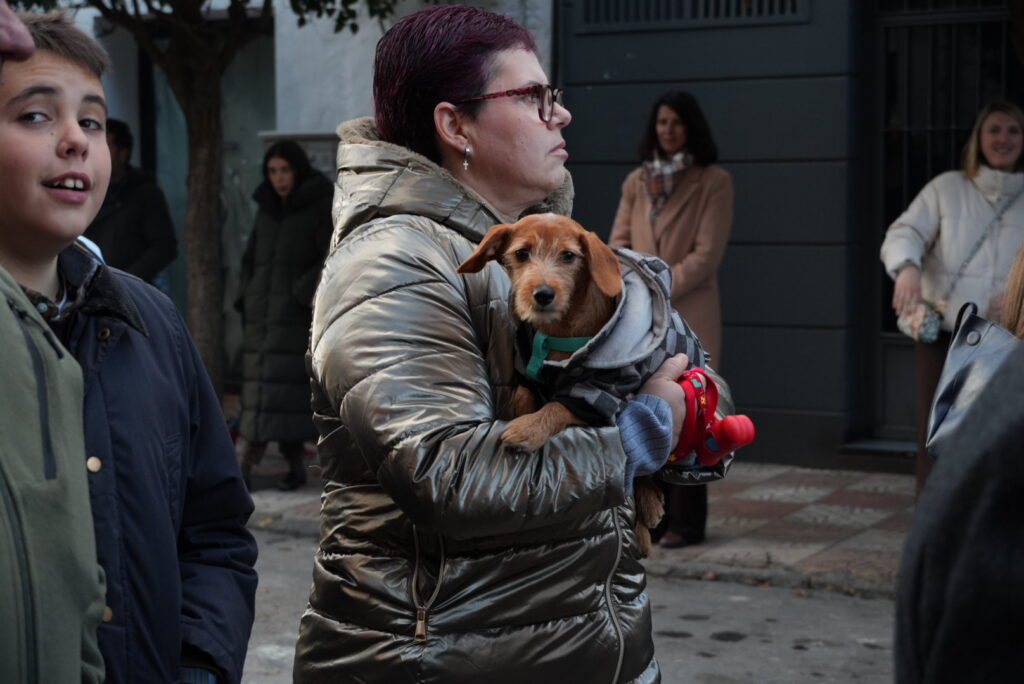 Los perros volvieron a ser los protagonistas en la procesión de San Antón | Diario de Miguelturra