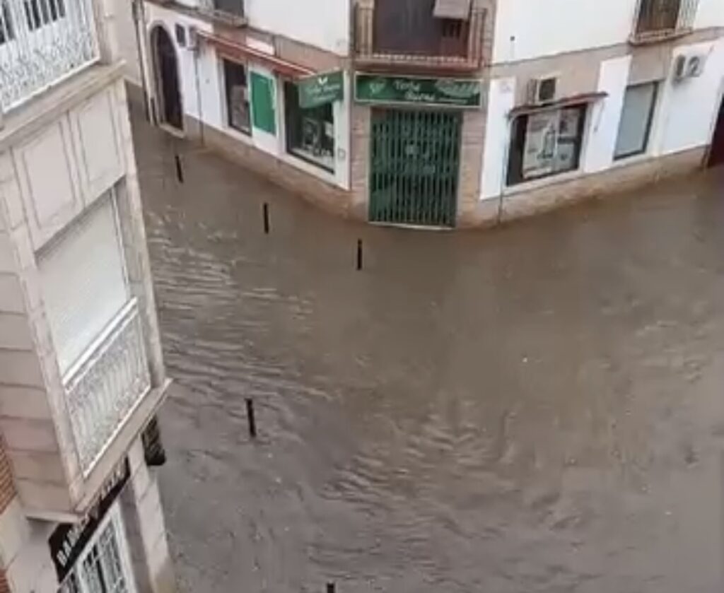 Inundaciones producidas tras las intensas lluvias en la tarde del domingo 4 de octubre de 2026 | Diario de Miguelturra